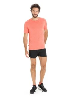 Icebreaker Men Sphere Ii Ss Tee Vibrant Earth Hthr -TROLKID Bekleidung Geschaft 0A56C6792 3 1280x1280