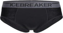 Icebreaker Anatomica Briefs Men